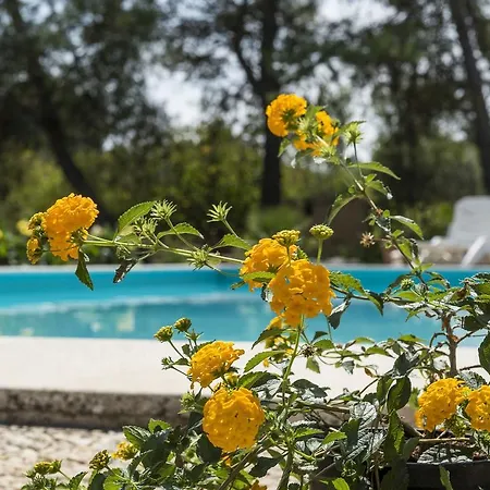 Trullo Argento Ceglie Messapica