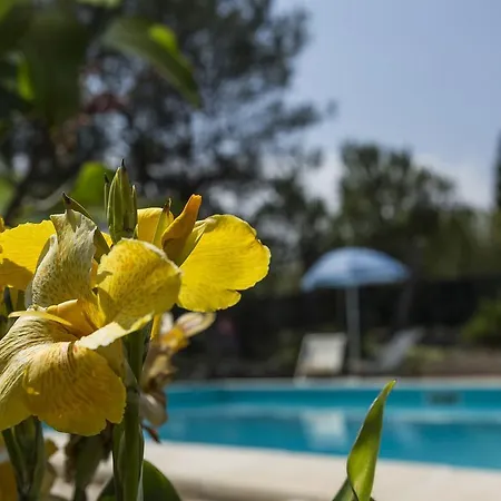 Villa Trullo Argento Ceglie Messapica